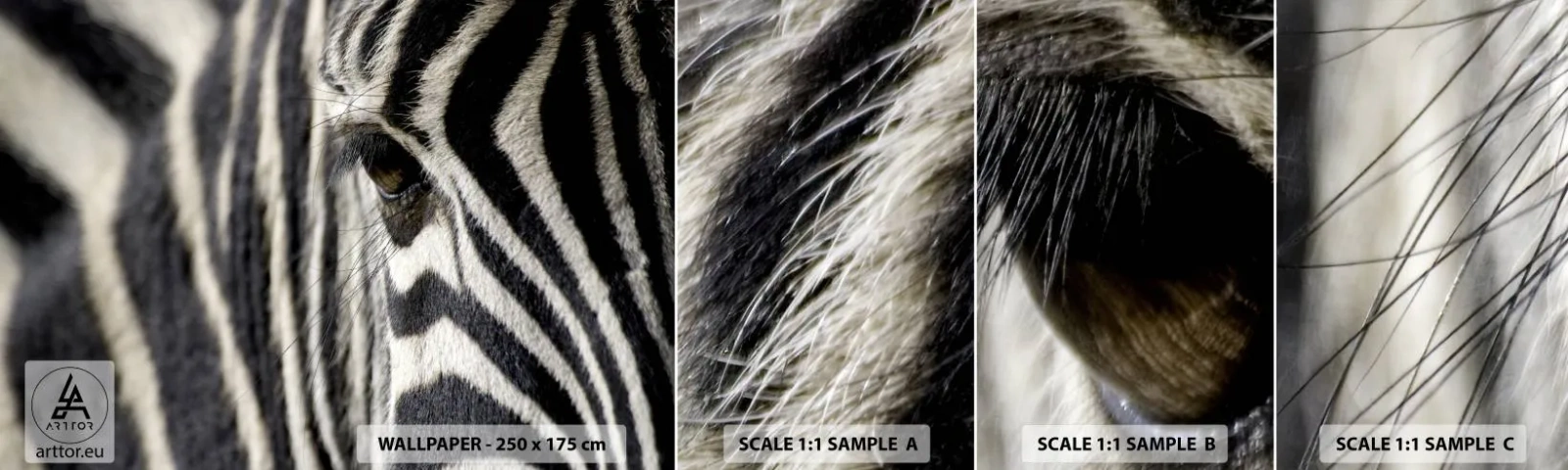 Amostra de Papel de Parede Standard Eco - Retrato em listras - Animais, Costelas, África - 100x30 cm