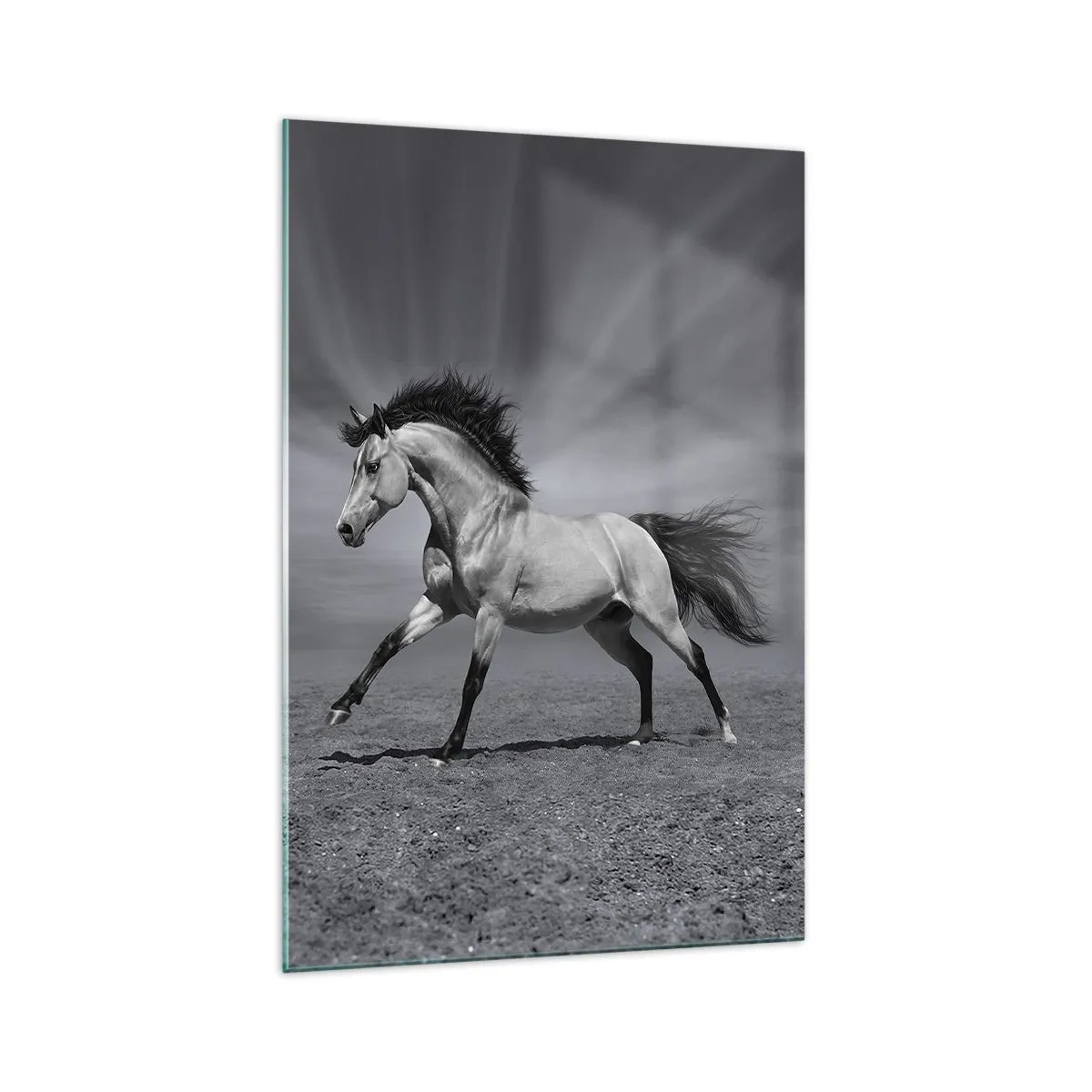 Quadro em vidro - Nascido para encantar - 70x100 cm