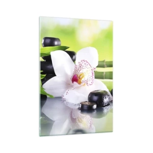 Quadro em vidro - Frescor e vigor - 70x100 cm