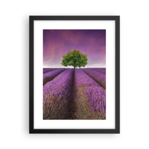 Pôster com moldura preta - Nos campos de lavanda - 30x40 cm