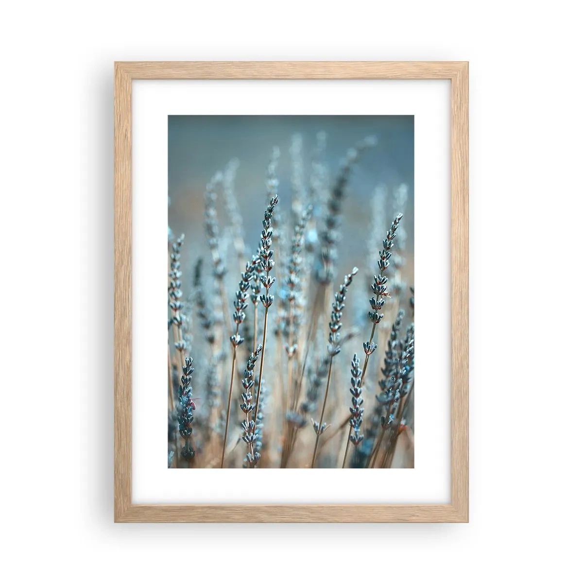 Pôster com moldura de carvalho claro - Prado perfumado - 30x40 cm