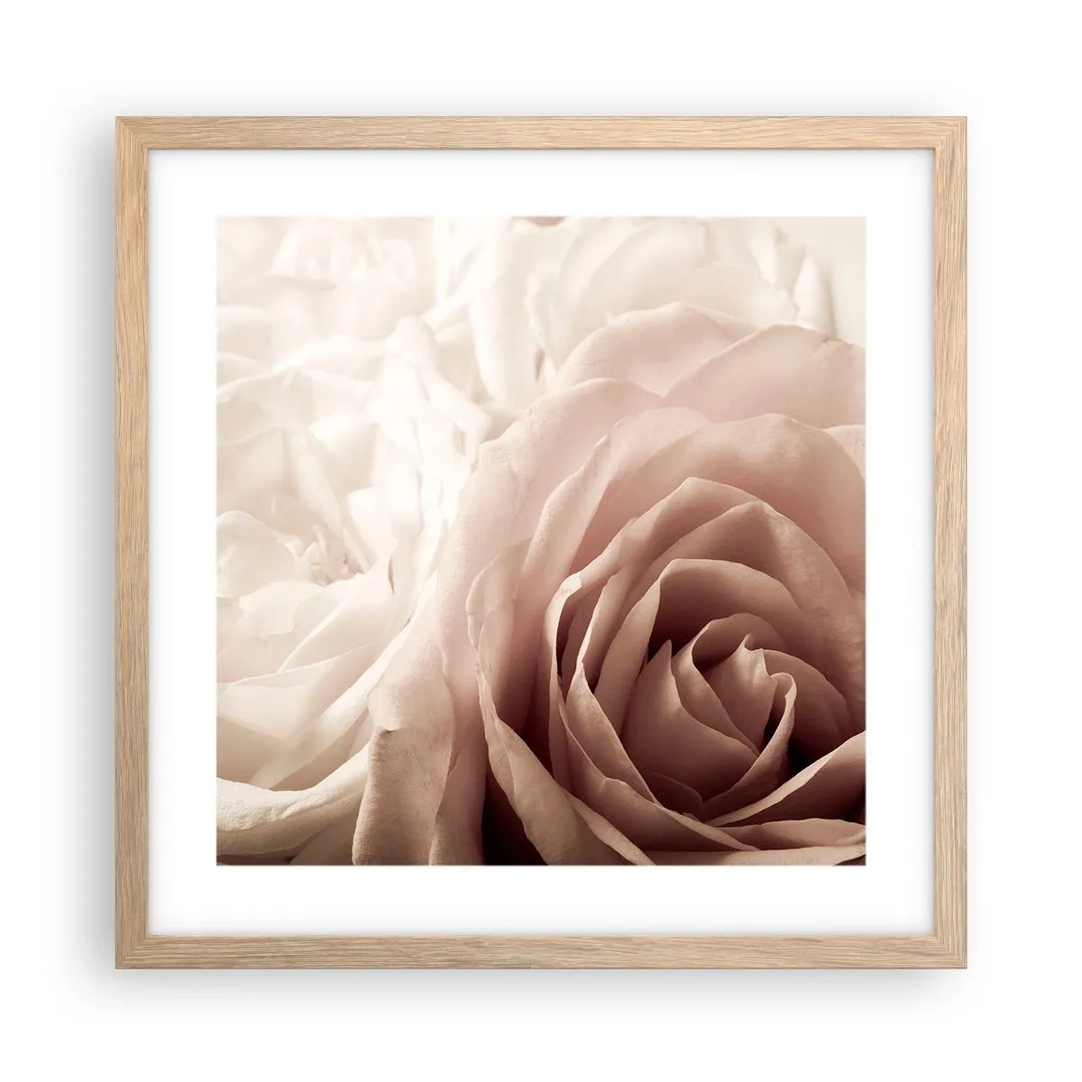 Pôster com moldura de carvalho claro - No coração de uma rosa - 40x40 cm