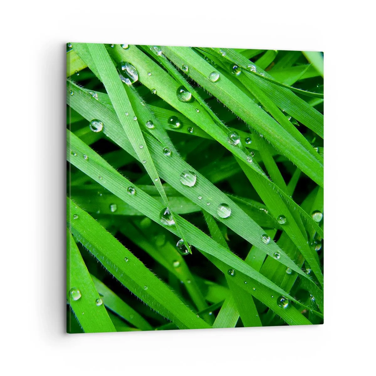 Quadro em tela - Jogue no verde - 50x50 cm