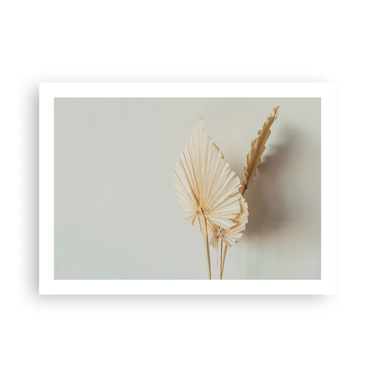 Pôster - Quando precisas de alívio - 70x50 cm