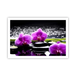 Pôster - Afogar-se na paz e sossego - 91x61 cm