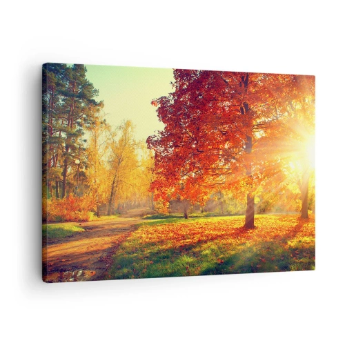 Quadro em tela - Parque de outono iluminado pela luz do sol - 70x50cm - O vermelho é lindo - Decoração de parede moderna para a sala de estar e quarto ARTTOR