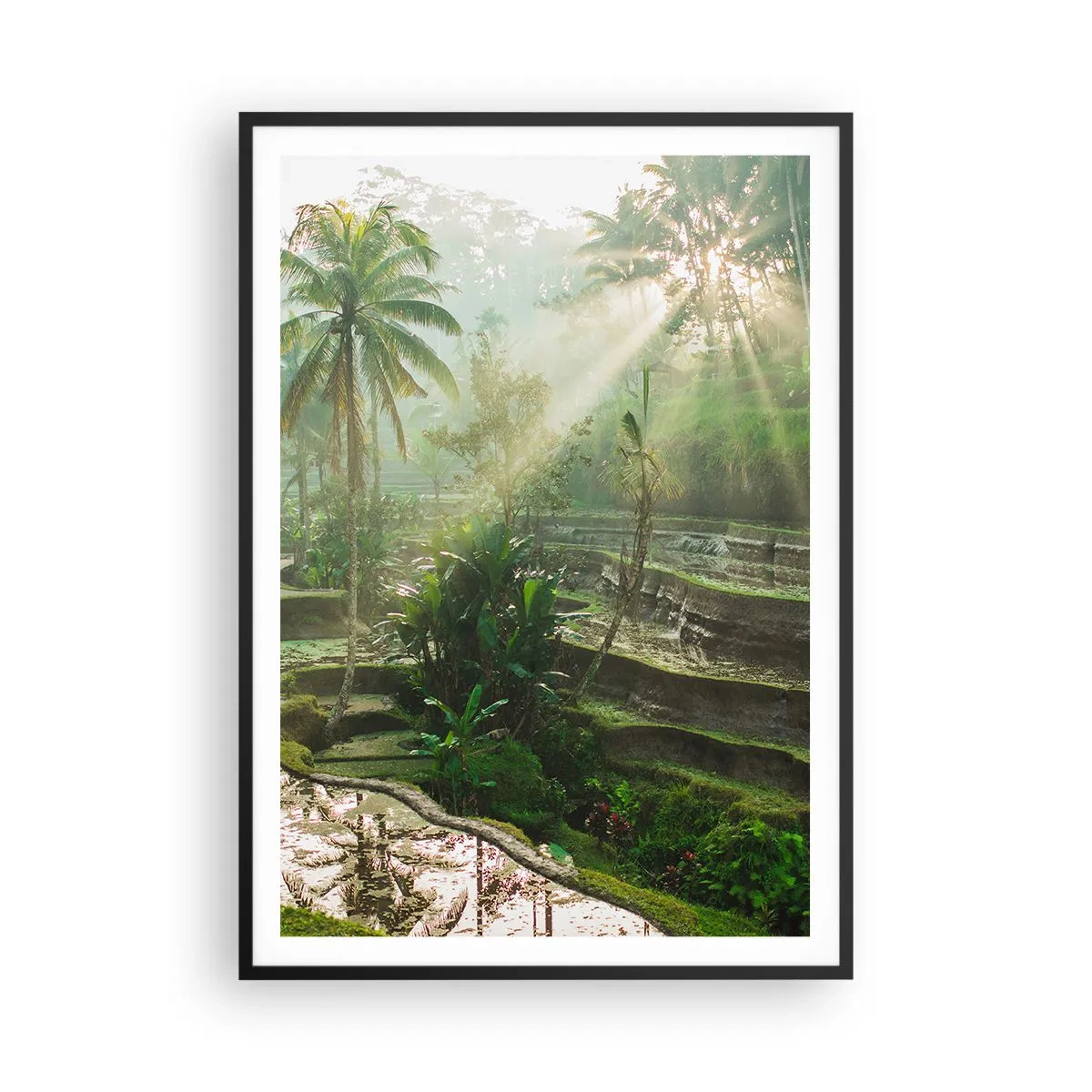 Pôster com moldura preta - Crescer ao sol - 70x100 cm