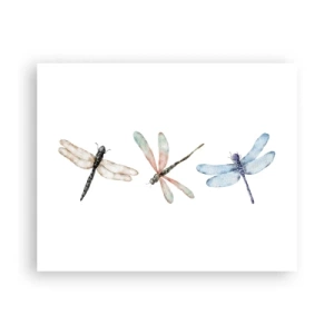 Pôster - Libélulas sem peso - 50x40 cm