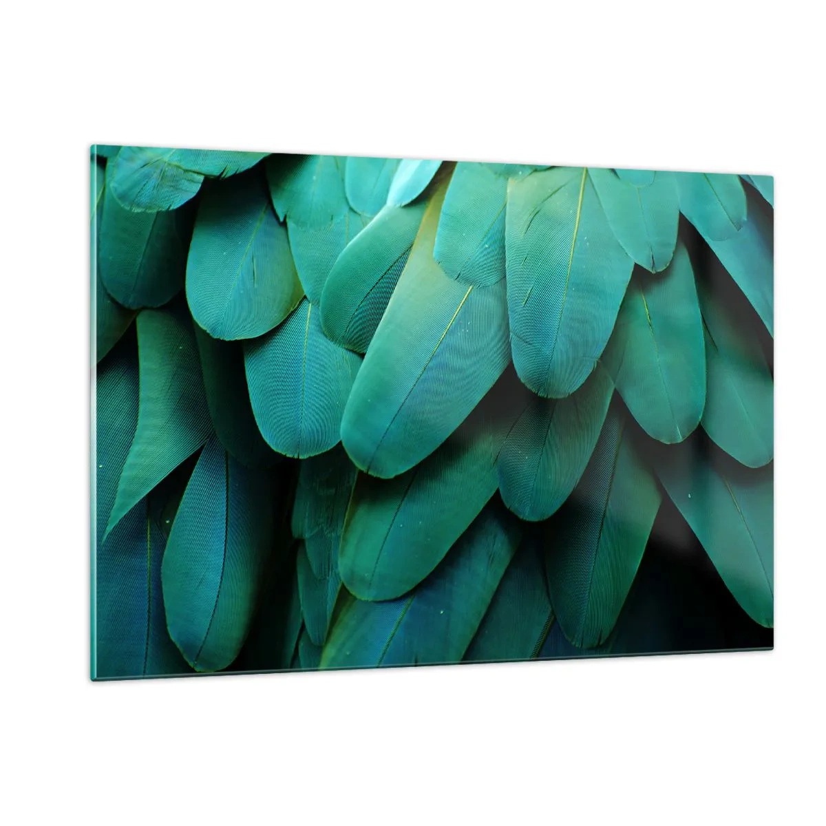 Quadro em vidro - Precisão de papagaio - 120x80 cm