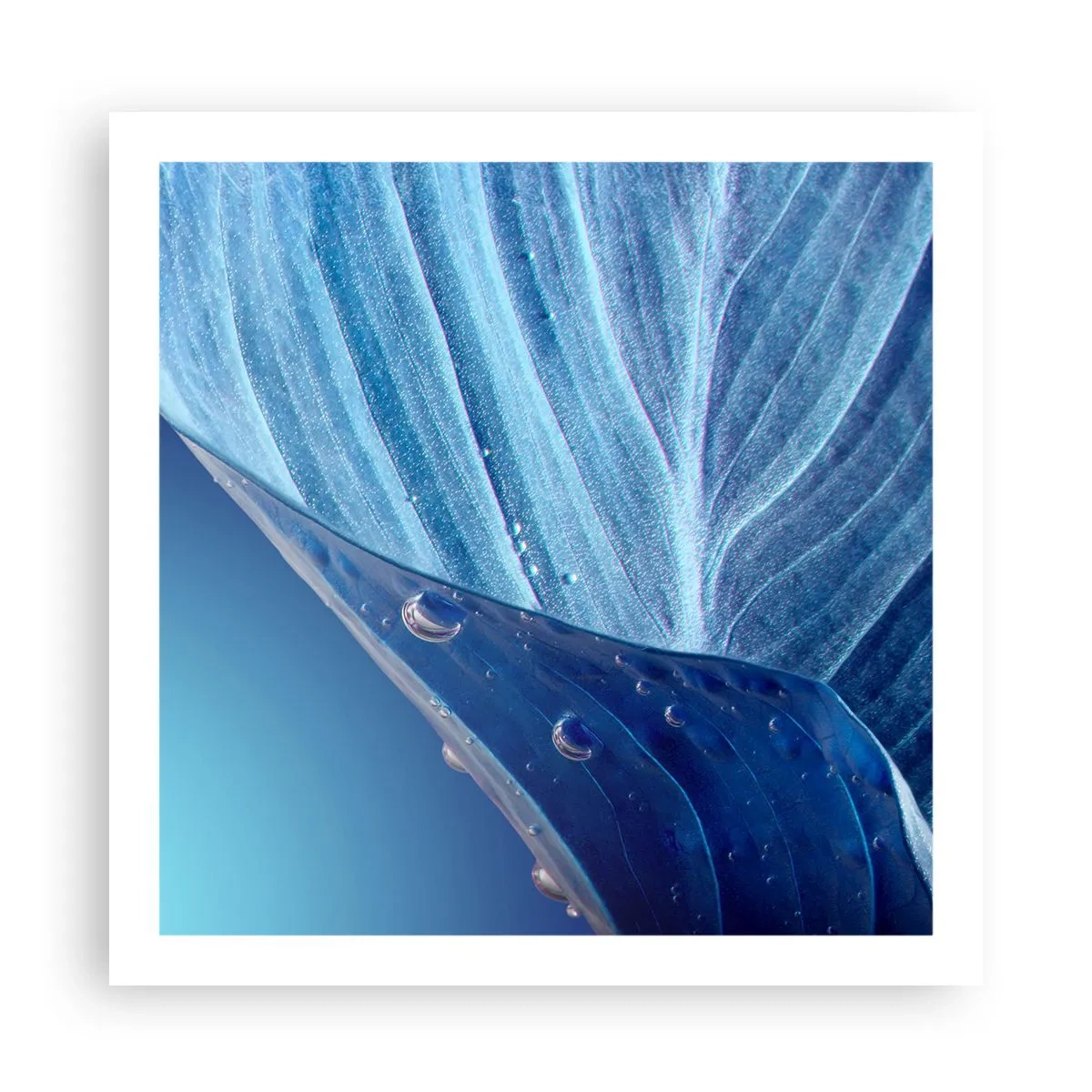 Pôster - Gotas escondidas no azul - 60x60 cm