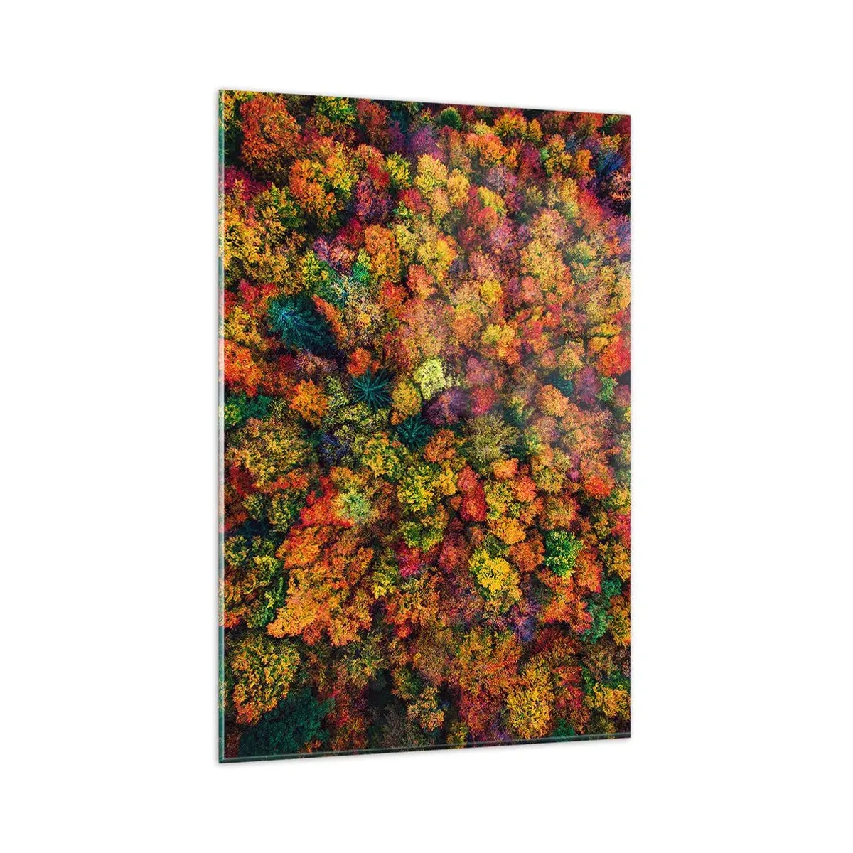 Quadro em vidro - Bouquet de árvores de Outono - 80x120 cm