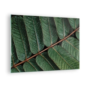 Quadro em vidro - Close-up de folhas verdes com gotas de água - 70x50cm - Num ritmo verde - Decoração de parede moderna para a sala de estar e quarto ARTTOR