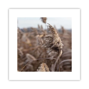 Pôster - É hora de voar com o vento - 30x30 cm