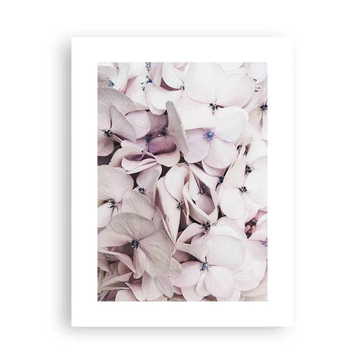 Pôster - Em uma inundação de flores - 30x40 cm