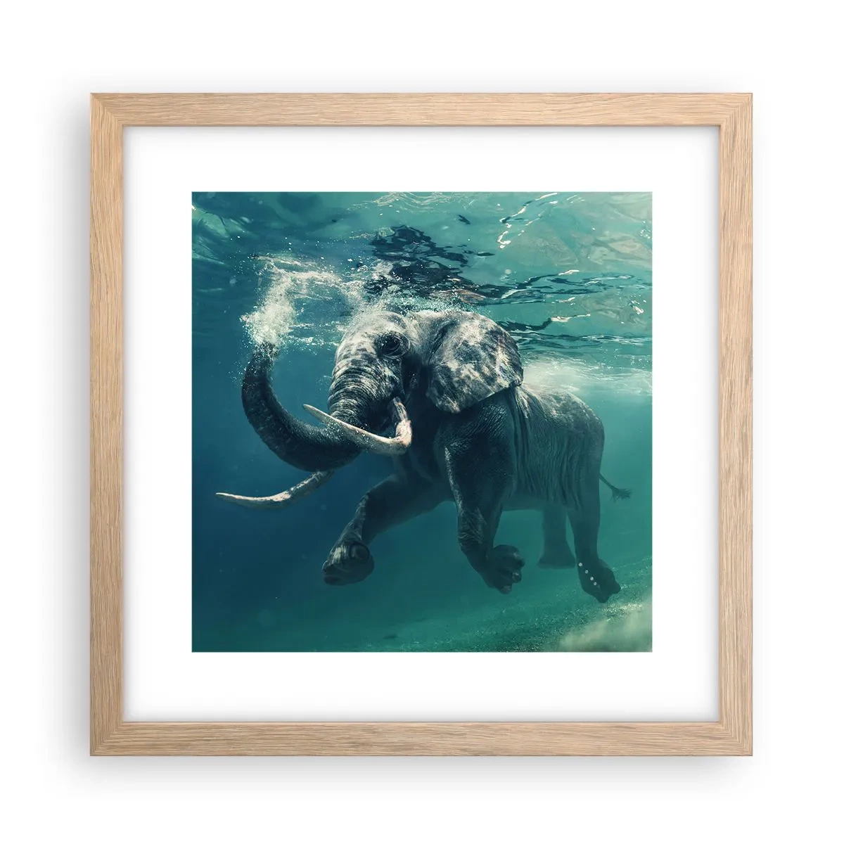 Pôster com moldura de carvalho claro - Todo mundo gosta de nadar - 30x30 cm