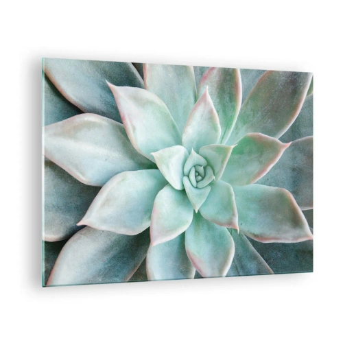 Quadro em vidro - Folhas suculentas secas com um delicado tom verde-acinzentado - 70x50cm - O coração do deserto - Decoração de parede moderna para a sala de estar e quarto ARTTOR