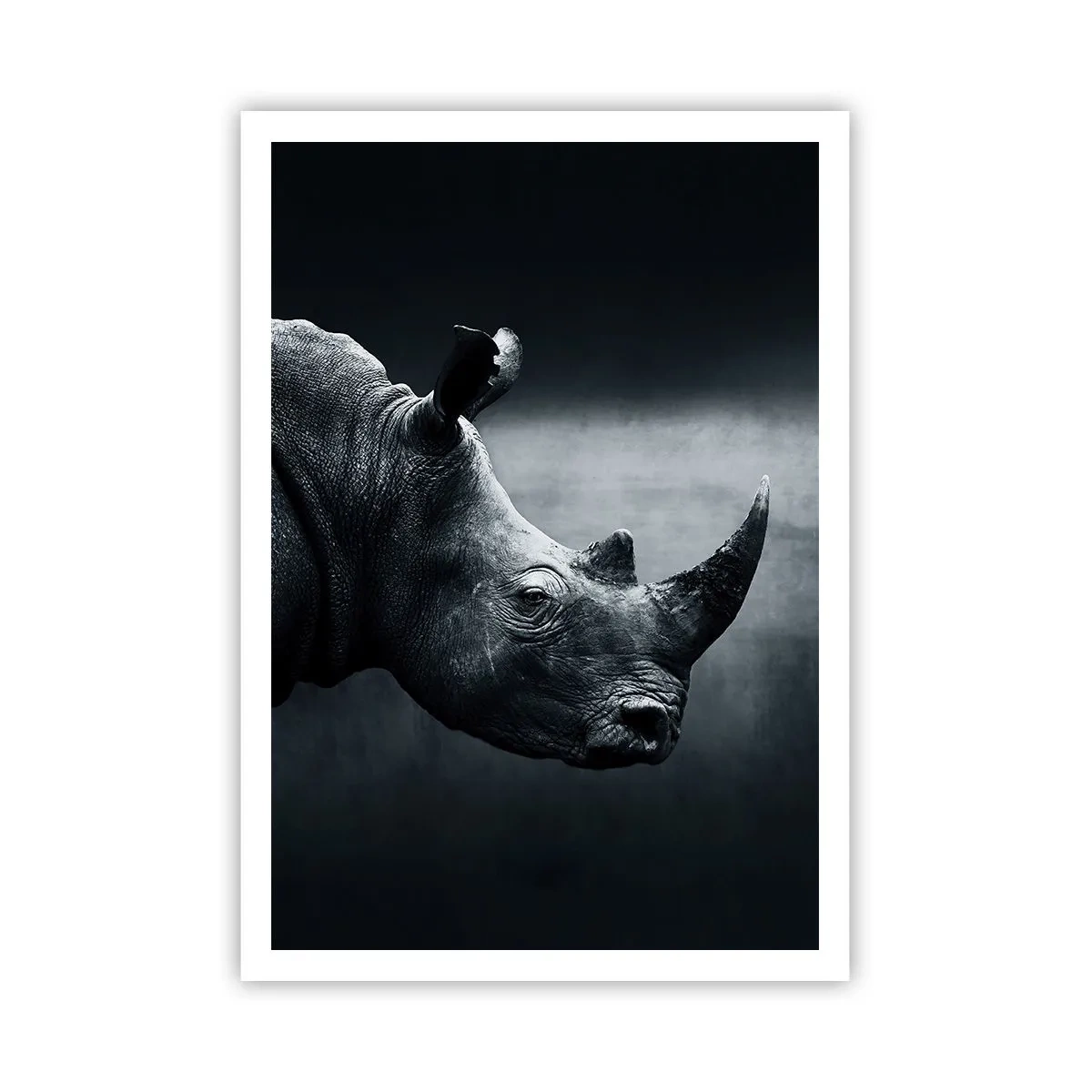 Pôster - Perfil direito - 70x100 cm