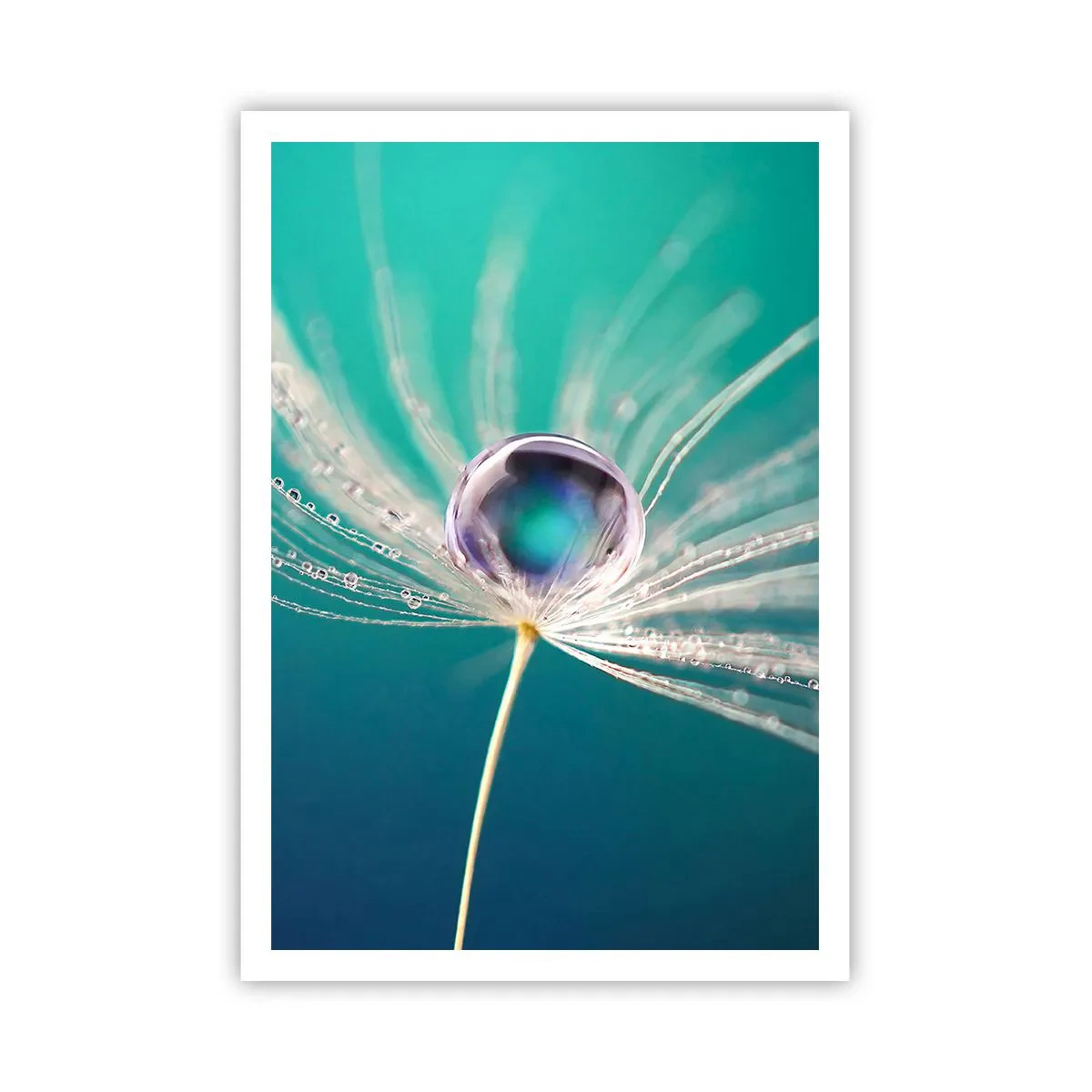 Pôster - Momento místico - 70x100 cm