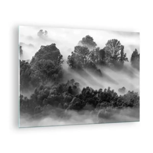 Quadro em vidro - Floresta enevoada sob a luz do sol em preto e branco - 70x50cm - Levantar-se do sono - Decoração de parede moderna para a sala de estar e quarto ARTTOR