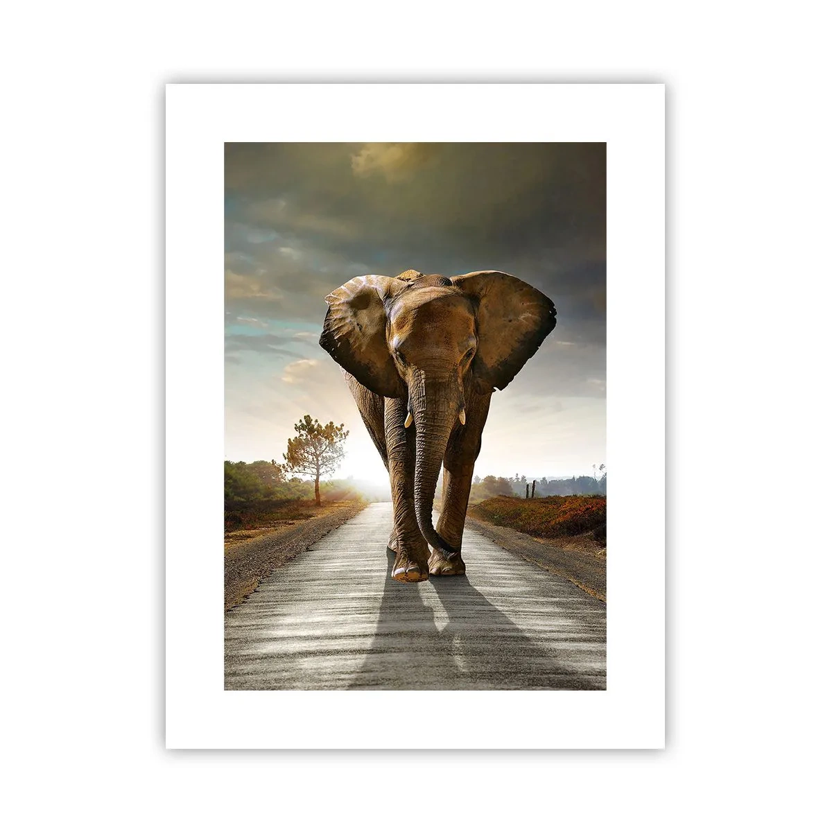 Pôster - Não faz parte da composição da porcela - 30x40 cm