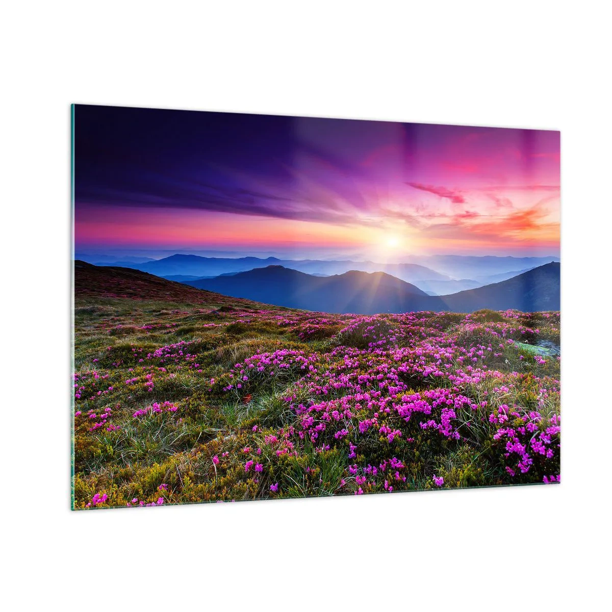 Quadro em vidro - Campo cheiroso - 100x70 cm