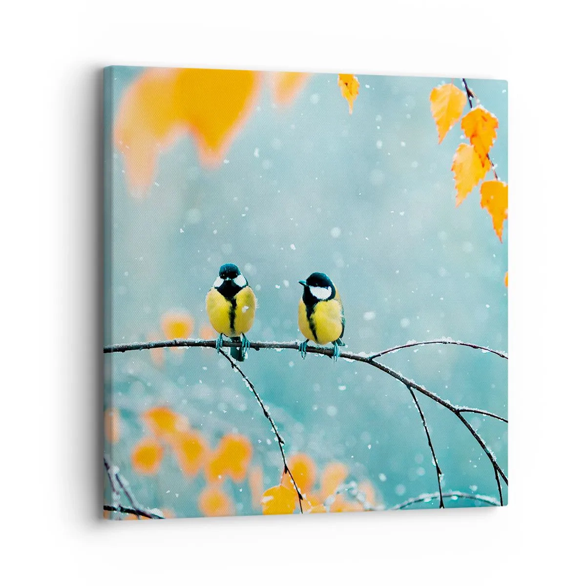 Quadro em tela - Fofoca de pássaros - 30x30 cm