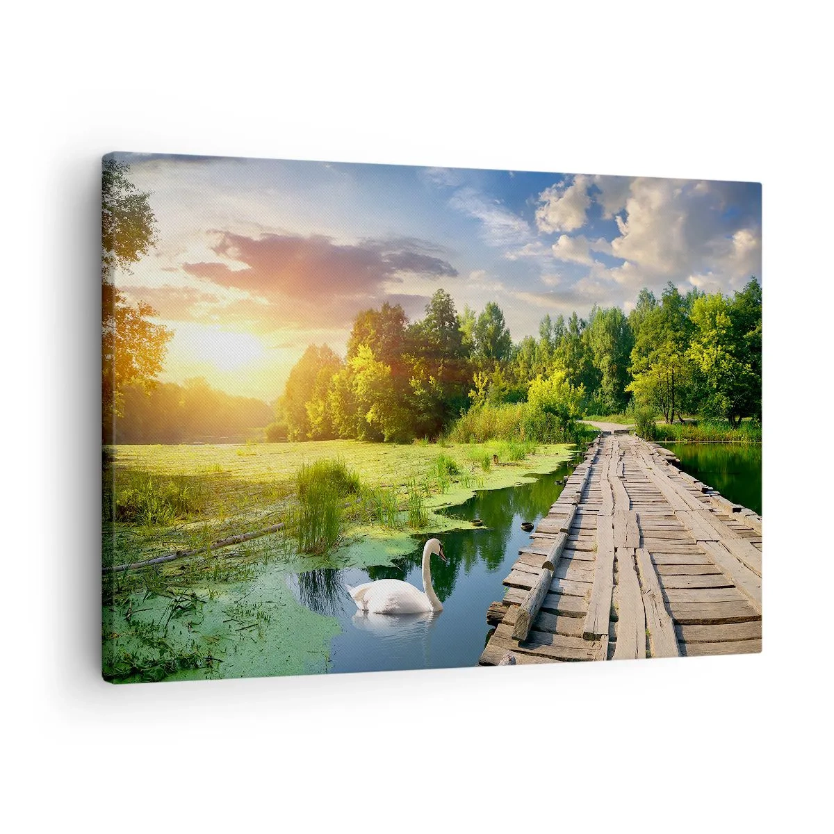 Quadro em tela - Uma paisagem pitoresca com uma ponte e um cisne - 70x50cm - Verão em todos os lugares - Decoração de parede moderna para a sala de estar e quarto ARTTOR