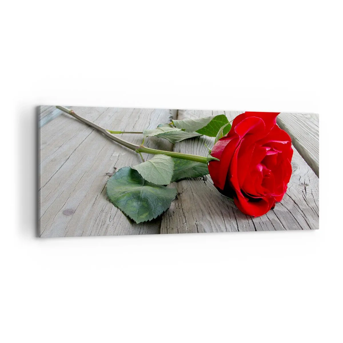 Quadro em tela - Um estudo em vermelho - 120x50 cm