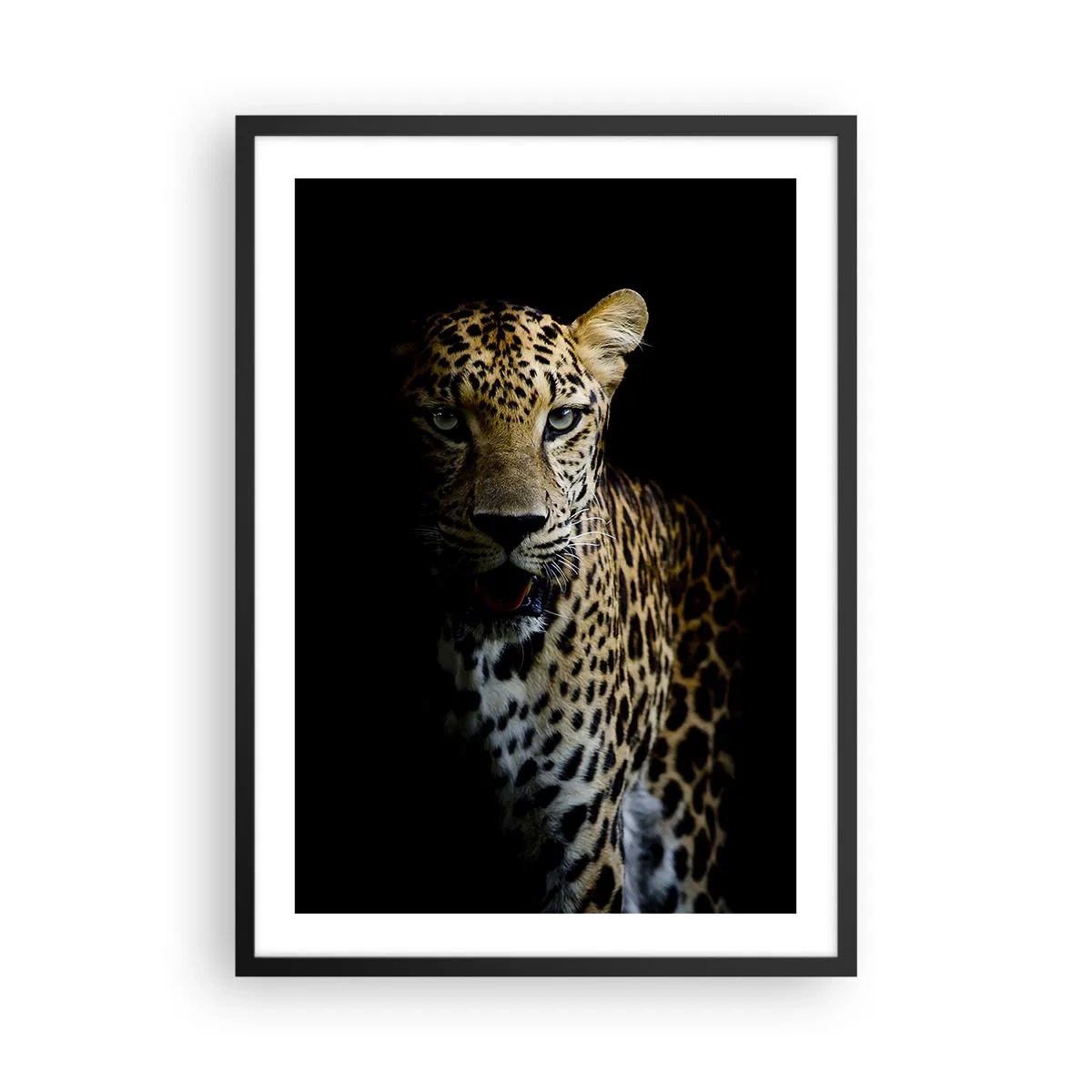 Pôster com moldura preta - Um leopardo contra um fundo escuro com detalhes de pelo vívidos. - 50x70cm - Beleza escura - Decoração de parede moderna para a sala de estar e quarto ARTTOR
