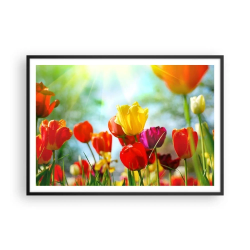 Pôster com moldura preta - Todas as cores do sol - 100x70 cm