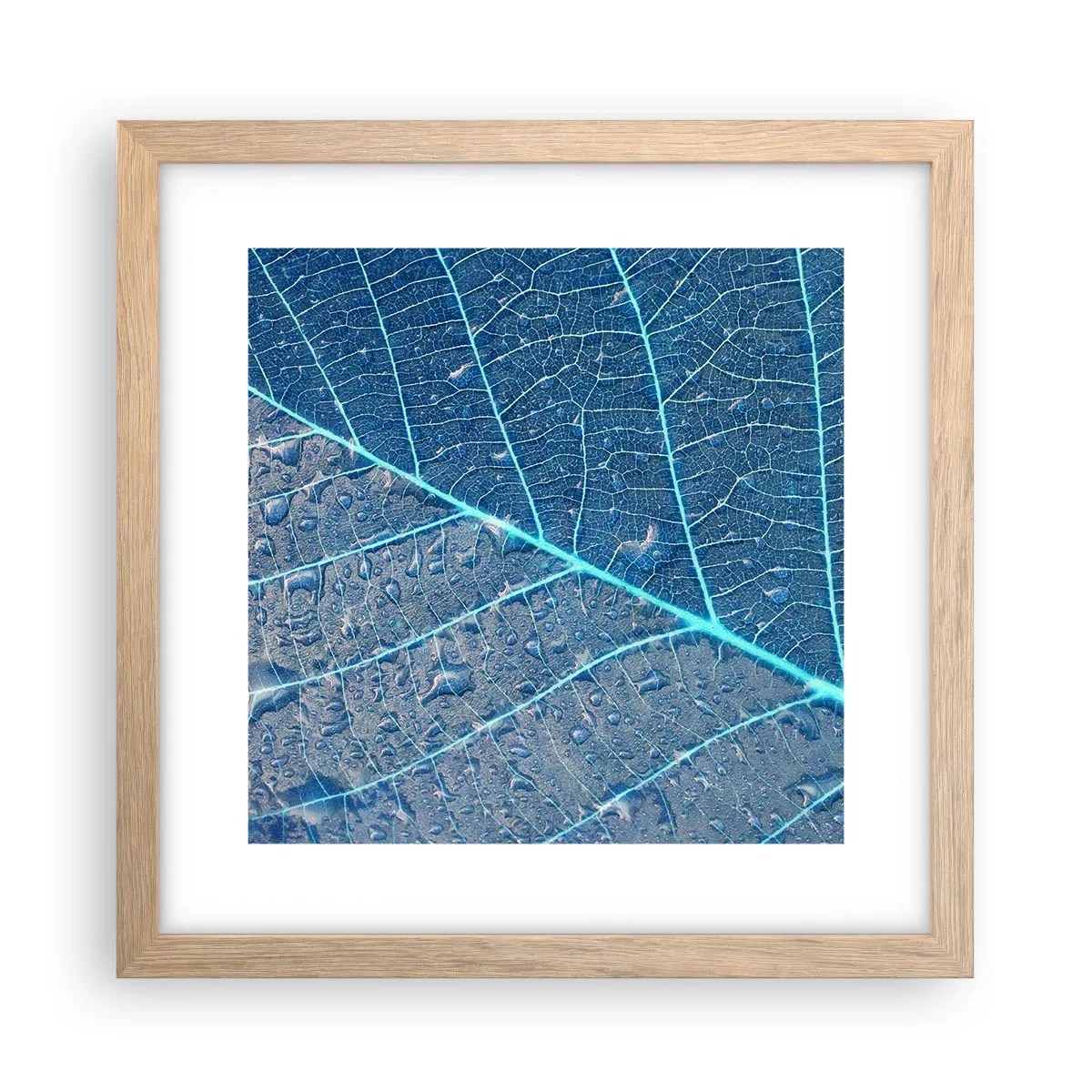 Pôster com moldura de carvalho claro - A vida em azul - 30x30 cm