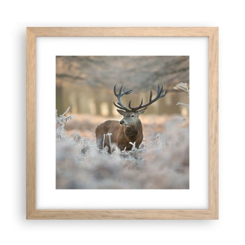 Pôster com moldura de carvalho claro - Uma manhã fresca - 30x30 cm