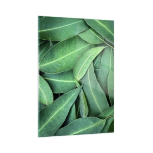 Quadro em vidro - Suculentas e frescas - 50x70 cm
