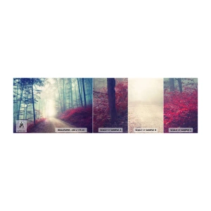 Amostra de Papel de Parede Standard Eco - Como é bom acordar cedo - Paisagem, Floresta, Estrada Florestal - 100x30 cm