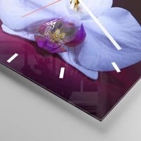 Mostrador com traços