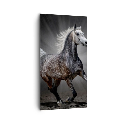 Quadro em tela - O cinza é lindo - 55x100 cm