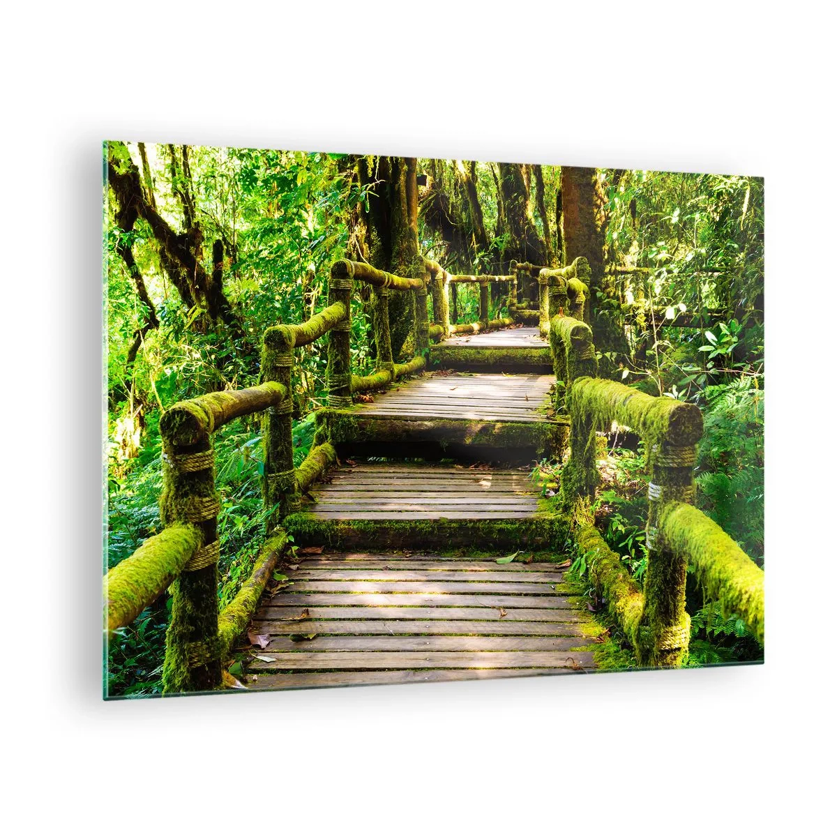 Quadro em vidro - Um caminho de madeira em uma floresta verde coberta de musgo - 70x50cm - Corredor de vegetação - Decoração de parede moderna para a sala de estar e quarto ARTTOR