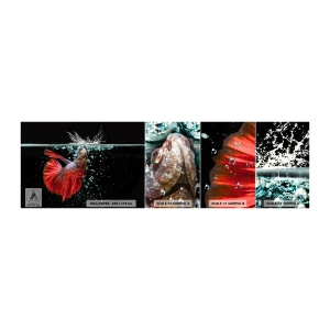 Amostra de Papel de Parede Standard Eco - Tens três desejos - Abstração, Aquário, Peixe - 100x30 cm