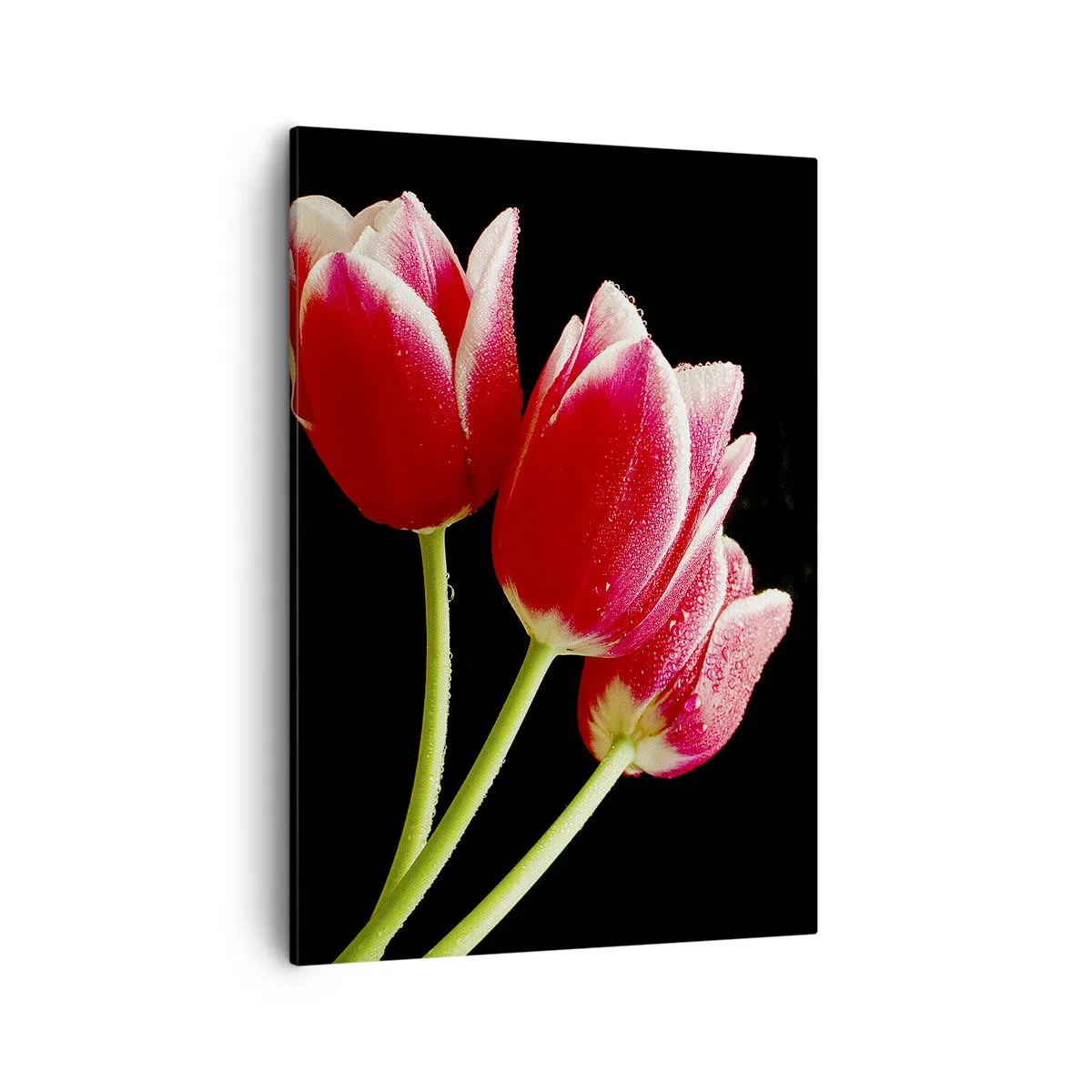 Quadro em tela - A promessa do amor puro - 50x70 cm
