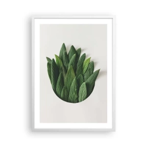 Pôster em moldura branca - Curiosidade indomável - 50x70 cm