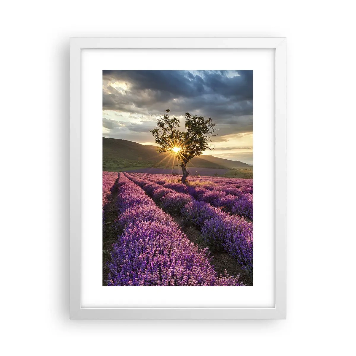 Pôster em moldura branca - Aroma lilás - 30x40 cm
