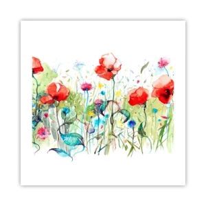 Pôster - Prado florido de maio - 50x50 cm