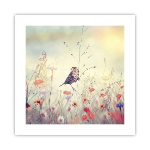 Pôster - Retrato de um pássaro com um prado no fundo - 40x40 cm