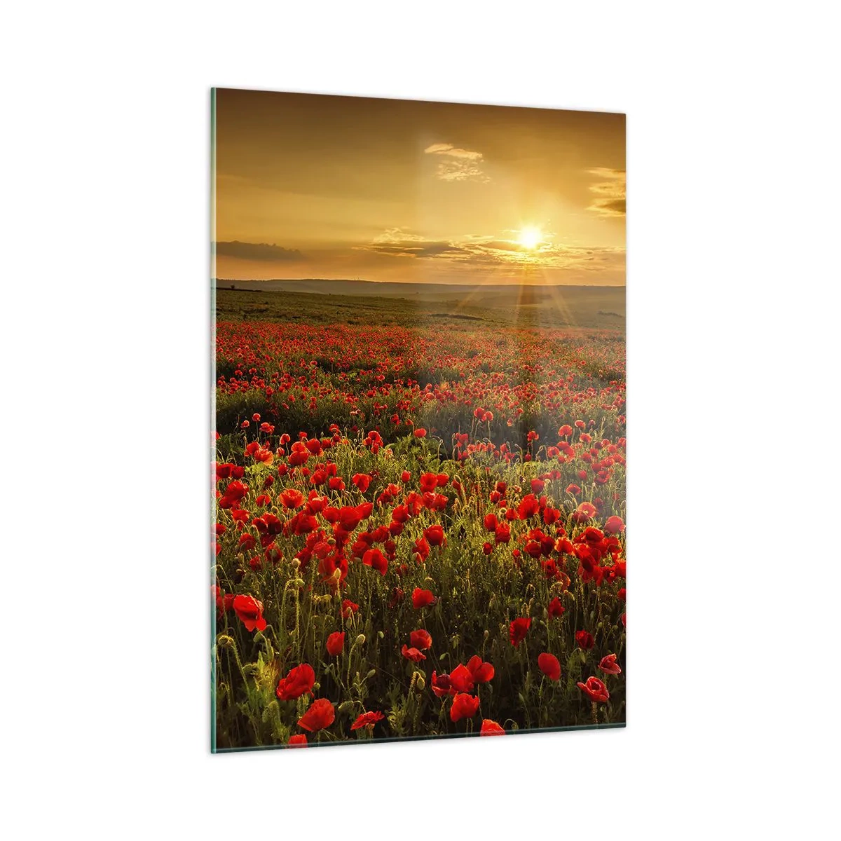 Quadro em vidro - Entre o farfalhar da onda de prados, entre o dilúvio das flores - 50x70 cm