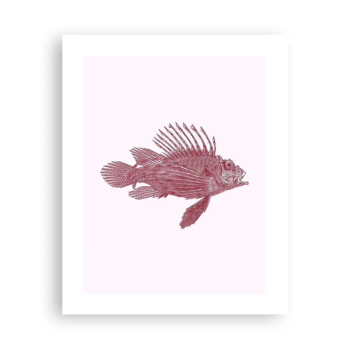 Pôster - Um habitante de águas exóticas - 40x50 cm