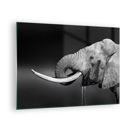 Quadro em vidro - Retrato em preto e branco de um elefante com tromba - 70x50cm - Sim, agora está tudo bem - Decoração de parede moderna para a sala de estar e quarto ARTTOR