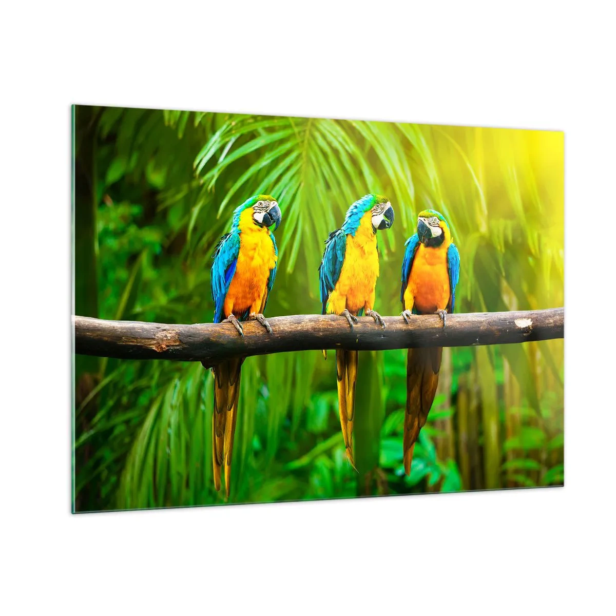 Quadro em vidro - E ouviste dizer que ela...? - 100x70 cm