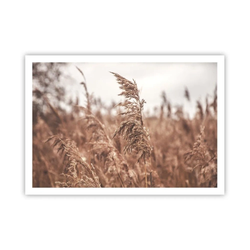 Pôster - O outono já chegou ao campo - 100x70 cm