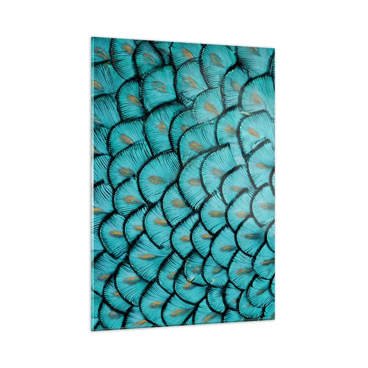 Quadro em vidro - A grande gala de penas - 50x70 cm