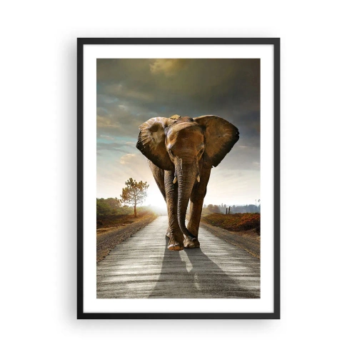 Pôster com moldura preta - Um elefante caminhando pela estrada ao pôr do sol - 50x70cm - Não faz parte da composição da porcela - Decoração de parede moderna para a sala de estar e quarto ARTTOR